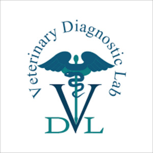 DVL.RU